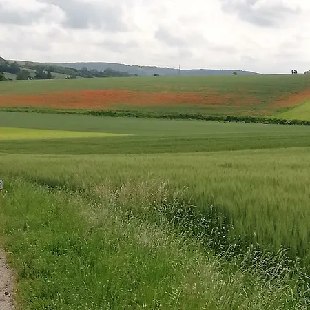 Zantnhof * Rohrabrunn