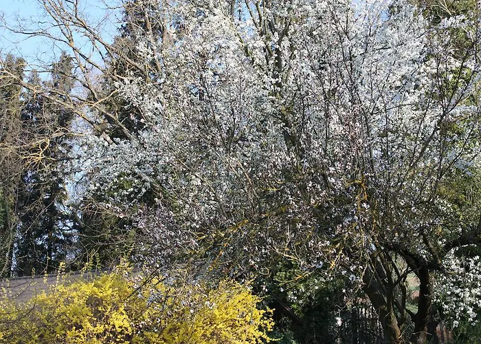 Zantnhof Apartment *