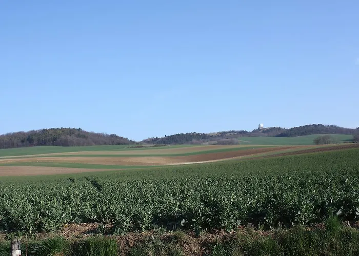 Apartment Zantnhof Rohrabrunn