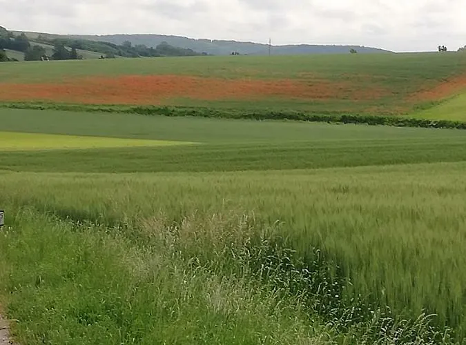 Zantnhof * Rohrabrunn